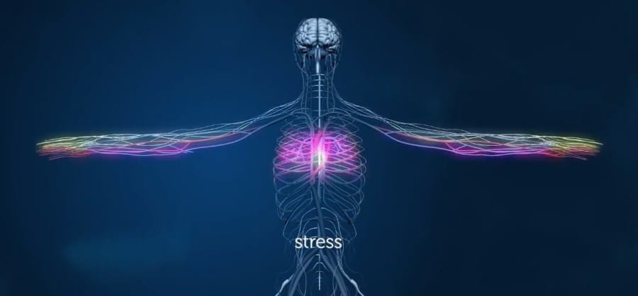 Human body stress