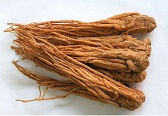 Angelica health benefits — Chinese herbs and Chinese food for natural health