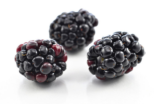 blackberry health benefits health benefits nutrition <a href='https://funfacthub.com/facts-of-life-the-importance-random-life-365-days' target='_blank' rel='follow'>facts</a> Chinese food recipes” title=”blackberry health benefits health benefits Chinese food  health benefits” data-pin-media=”https://bwellmart.com/wp-content/uploads/2020/02/Blackberry-health-benefits-nutrition-facts.jpg”/><span class=