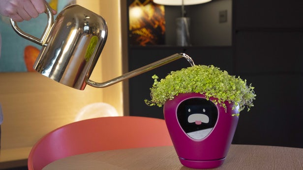 Lua - A connected pot to keep your plants healthy