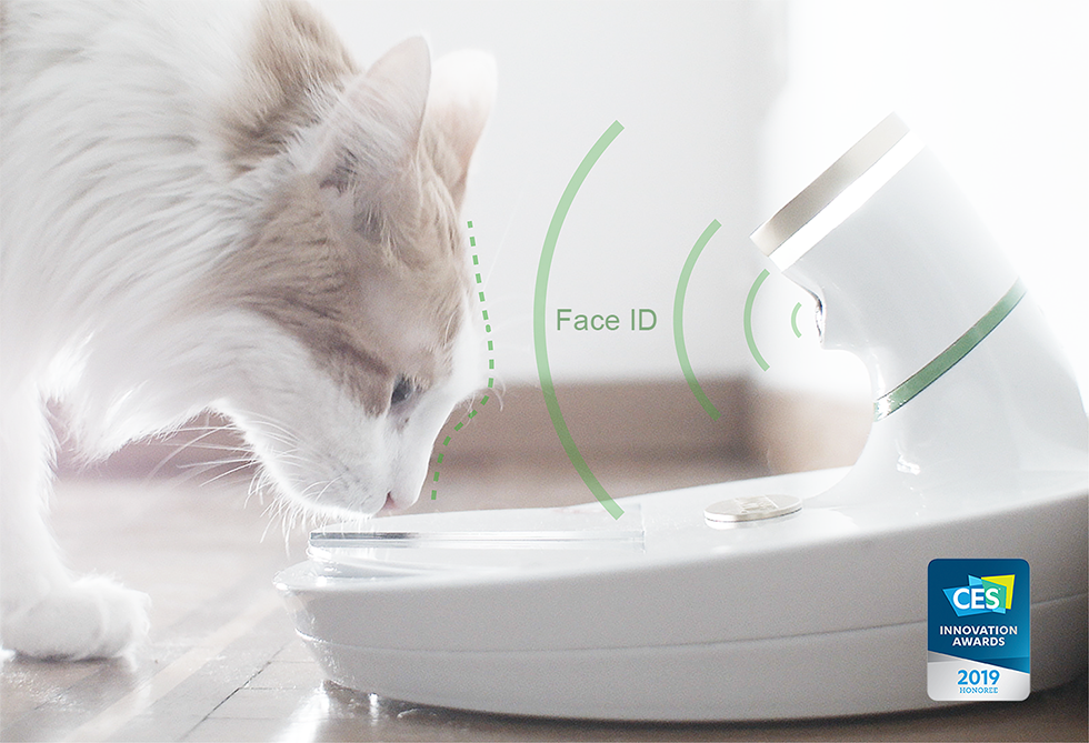 Mookkie - A bowl for animals equipped with Artificial Intelligence