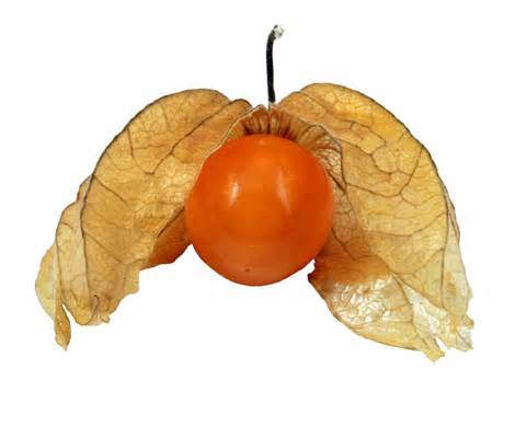 physalis health benefits benefits nutrition facts Chinese food recipes;What to eat to keep healthy naturally.Healthy fruit