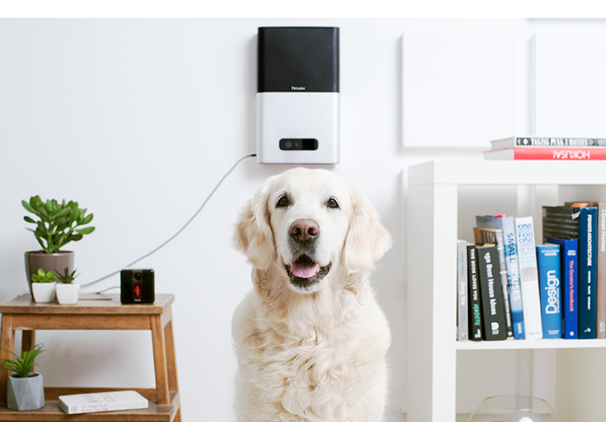 Petcube Bites Petcube Reading connected cameras