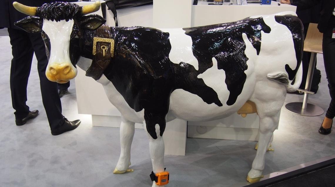 Estrus Detection System for Cattle wearable cows