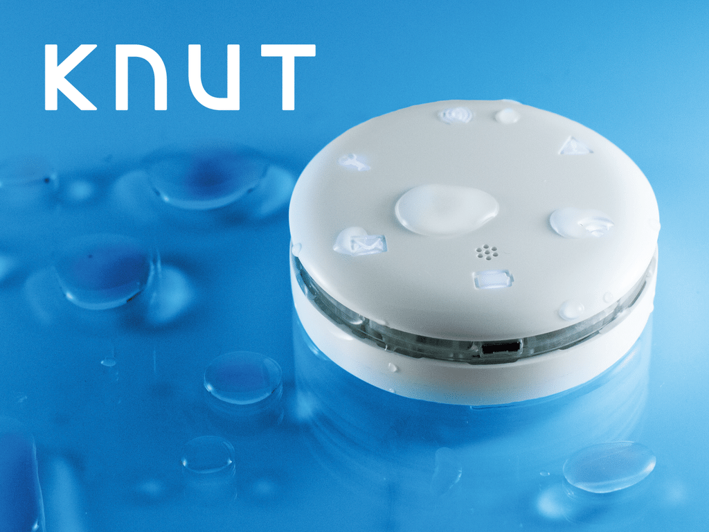 Knut Water smart water leak detector