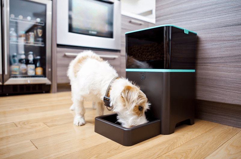 PetNet connected food bowl