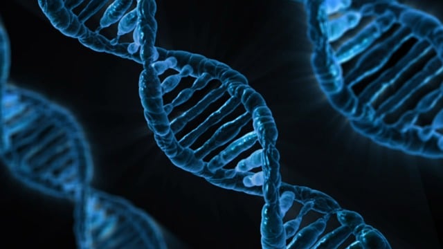 DNA "width =" 640 "height =" 360 "srcset =" https://bwellmart.com/wp-content/uploads/2020/04/1587757854_722_Top-10-innovations-that-will-change-our-lives-Best-smart.jpg 640w, https://www.ABsmarthealth.net/ wp-content / uploads / 2015/02 / ADN-450x253.jpg 450w "sizes =" (max-width: 640px) 100vw, 640px "/></noscript></p>
<p style=