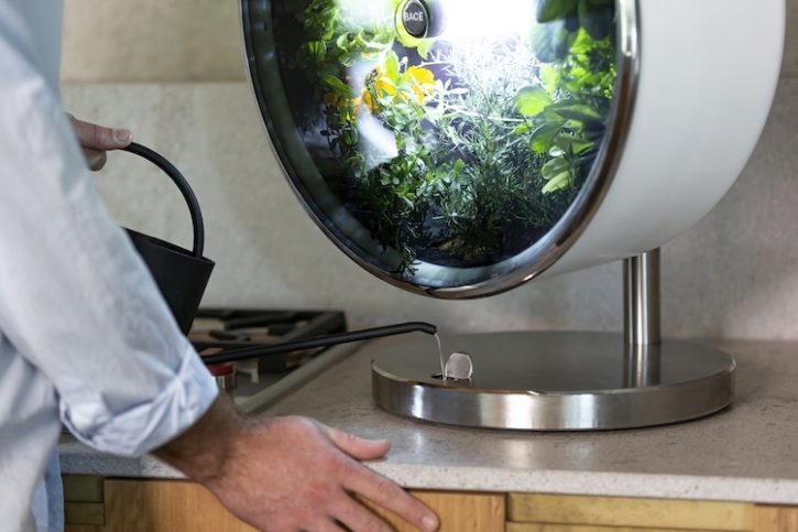 This ingenious indoor vegetable patch uses NASA technology