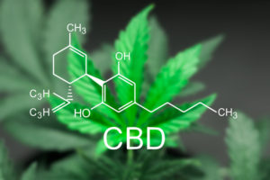 The best CBD brands