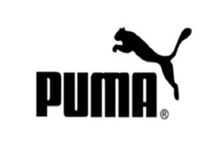 puma the best fitness brands art smart health